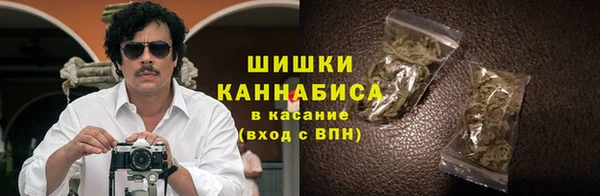 гидра Верхний Тагил