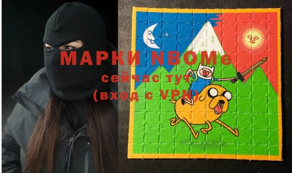 гидра Верхний Тагил